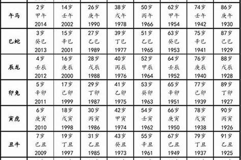 1995年出生|1995年出生今年多大了,1995年出生2024年多少岁